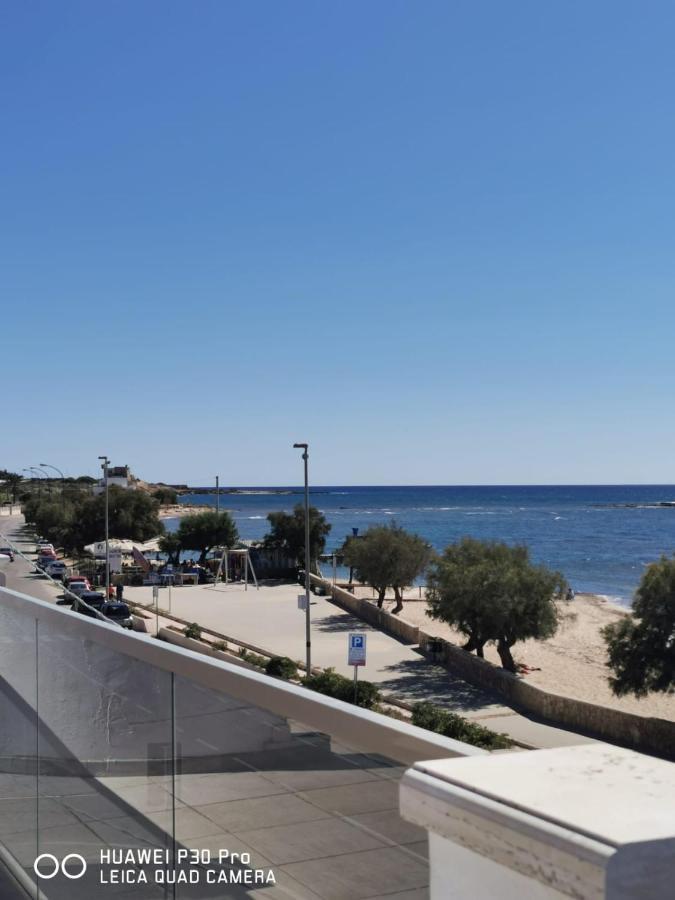 Ariadimare Torre Ovo